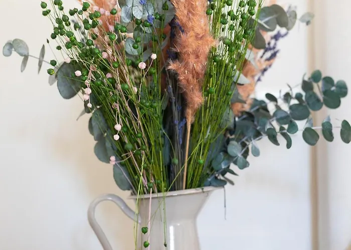 Borda Mondarruego Broto